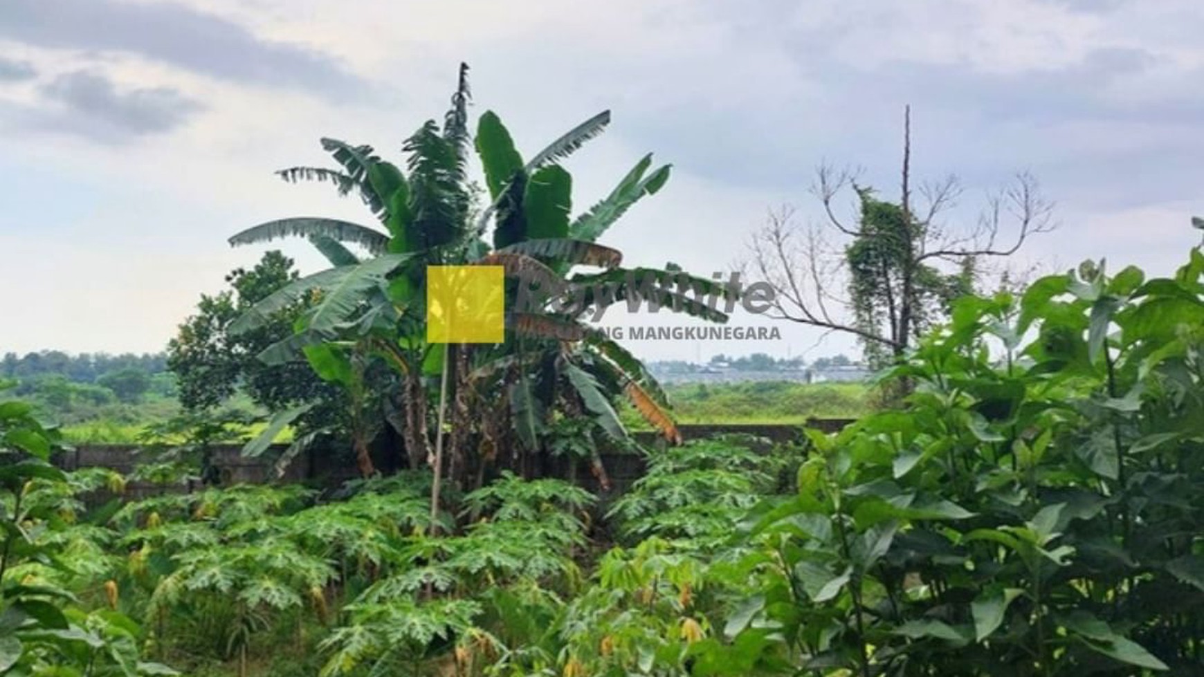 Tanah Dijual Dekat Bandara SMB 2