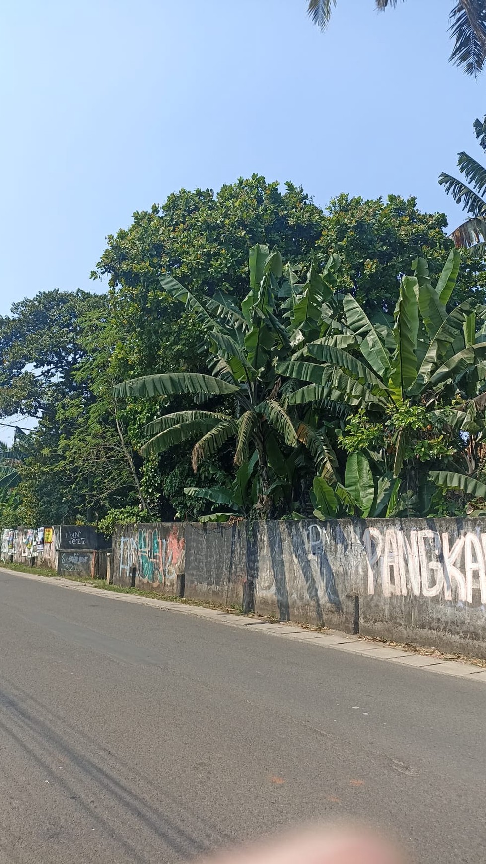 Kavling Siap Bangun Di Jl Merpati Raya Ciputat Tangerang Selatan