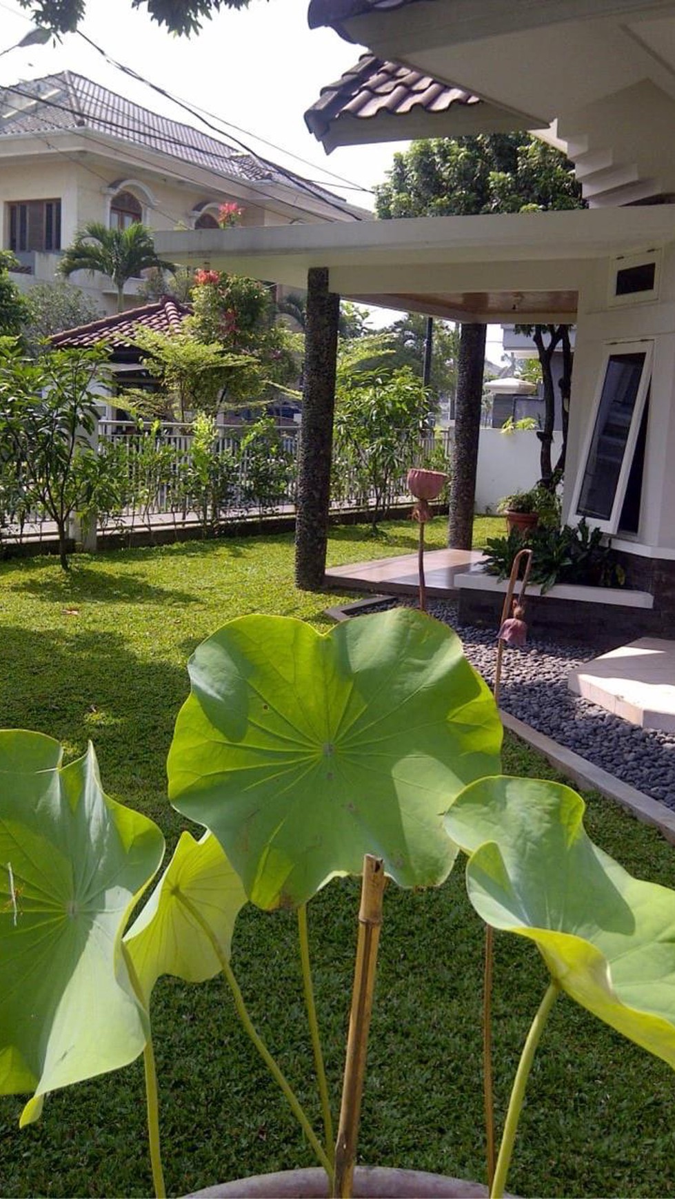 Rumah Bagus Di Jl Sentosa Raya Batununggal Bandung