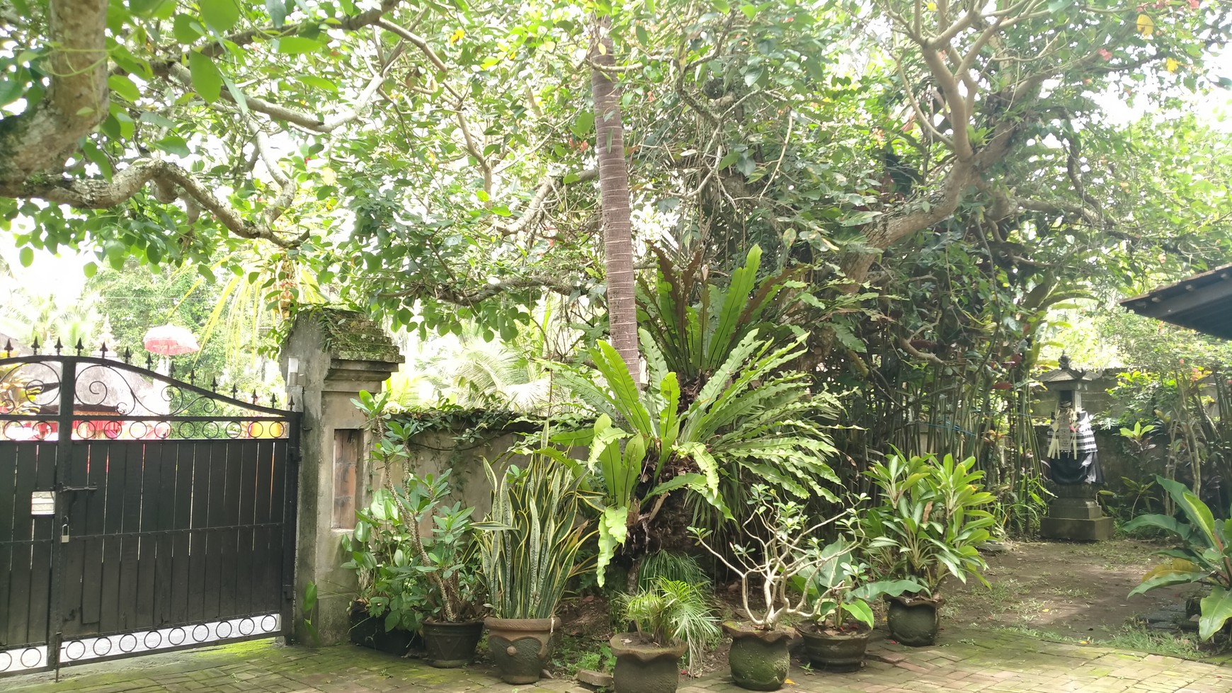 Cozy Villa for Leasehold just 15 Minutes from Ubud Center, Direct Access to Mainroad