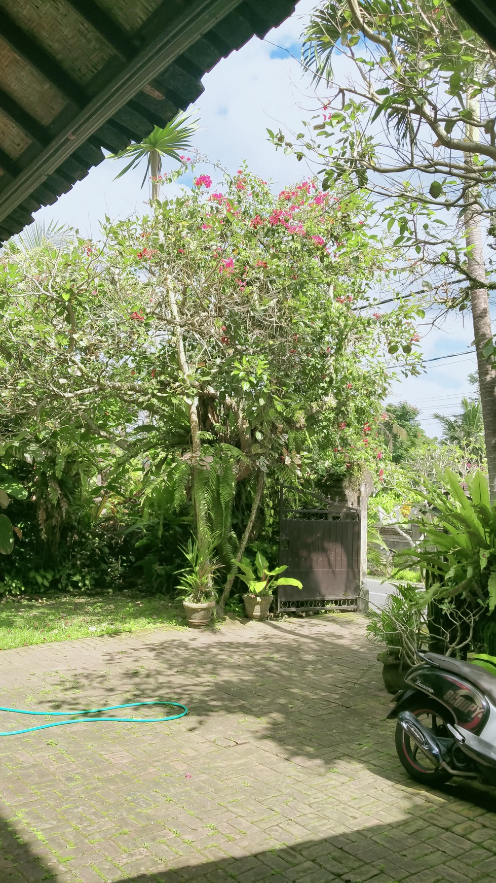 Cozy Villa for Leasehold just 15 Minutes from Ubud Center, Direct Access to Mainroad