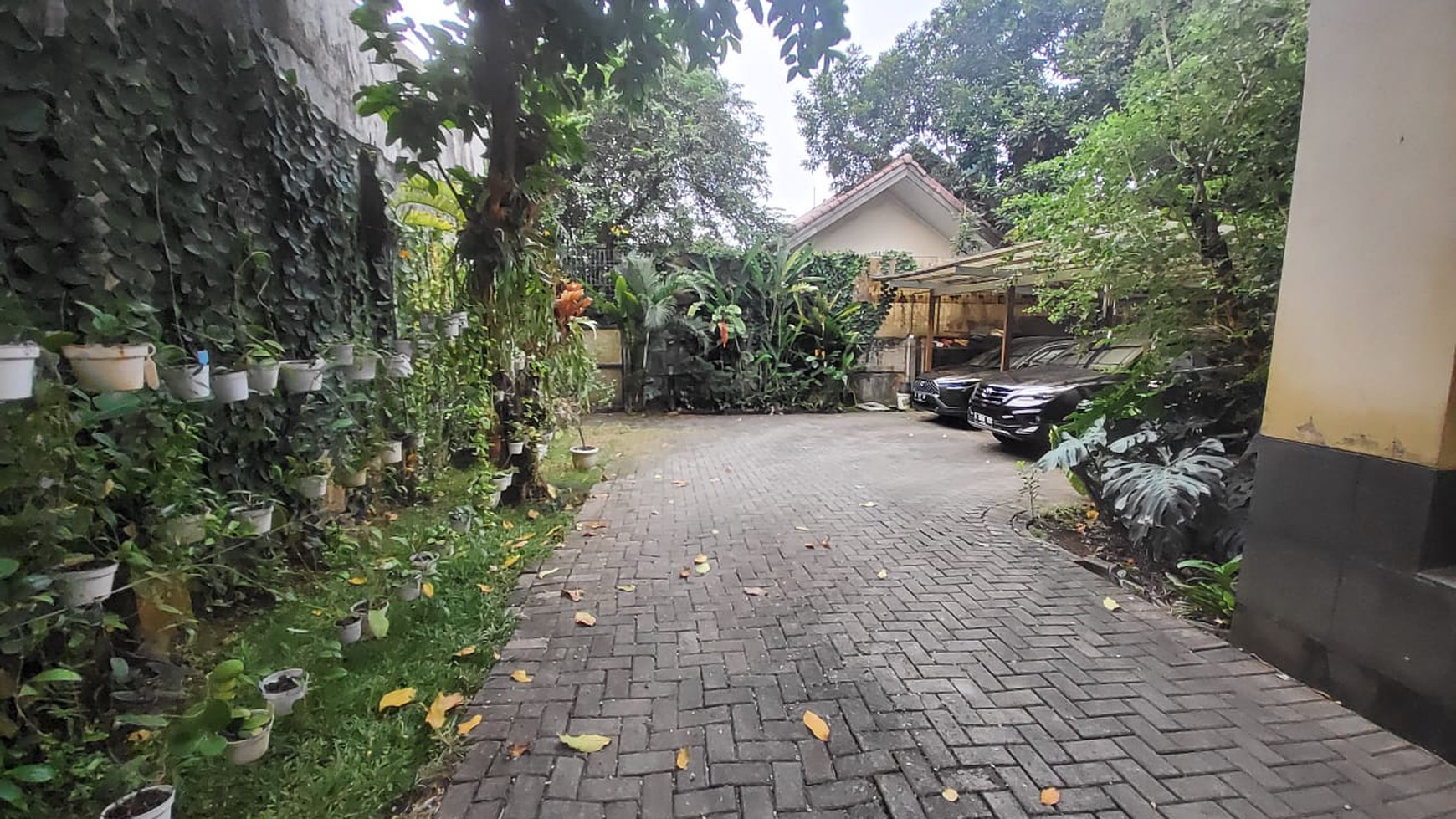 Rumah terawat lingkungan nyaman  daerah Duren Tiga Jakarta Selatan