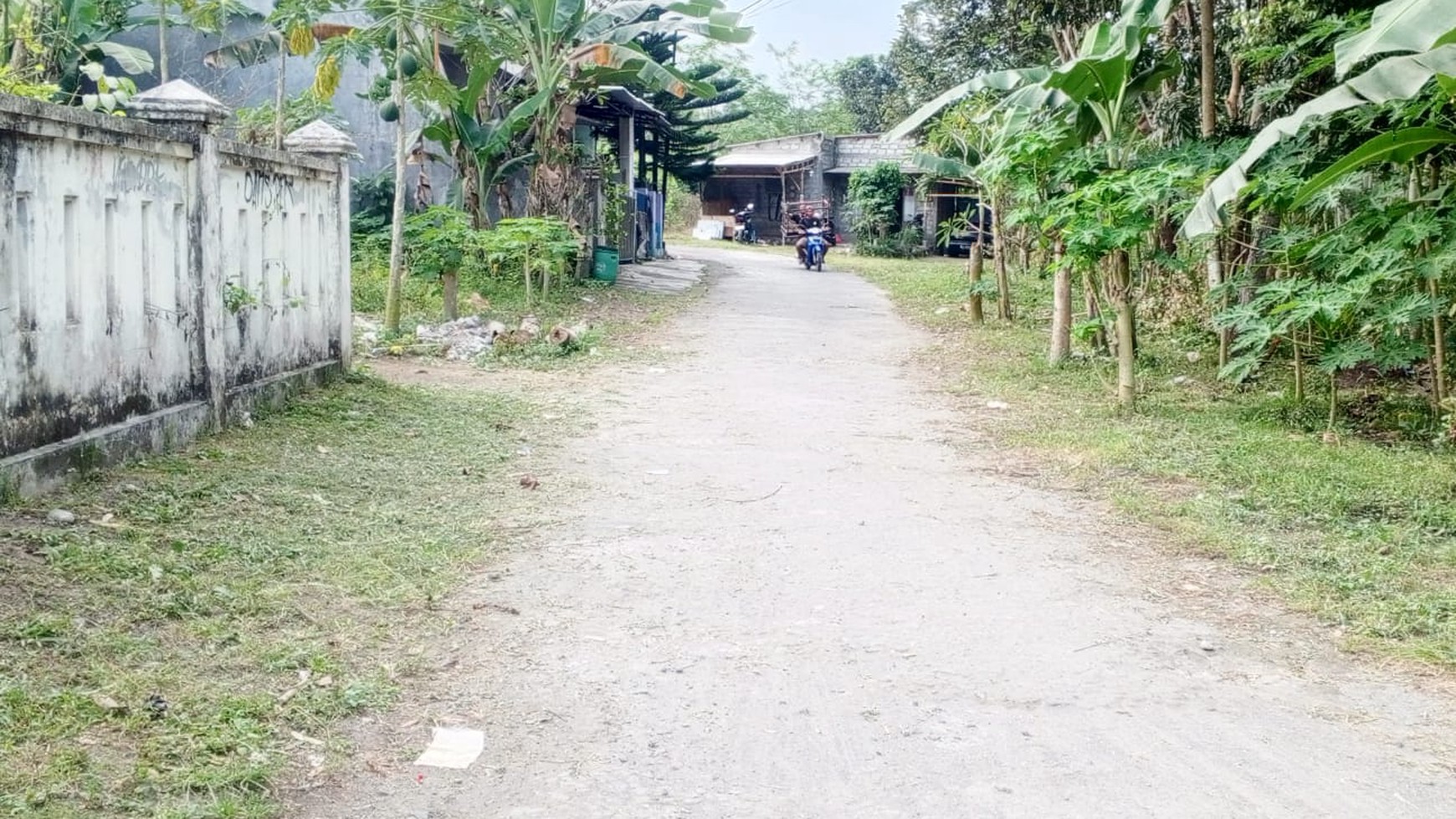 Tanah SHM Luas 242 Meter Persegi Lokasi Purwomartani Kalasan