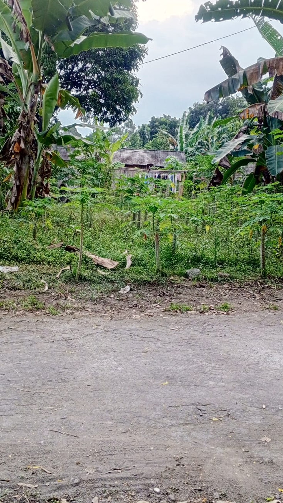 Tanah SHM Luas 242 Meter Persegi Lokasi Purwomartani Kalasan