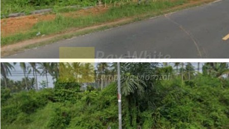 Dijual Tanah mangku jalan, Datar dan Dekat Laut yk