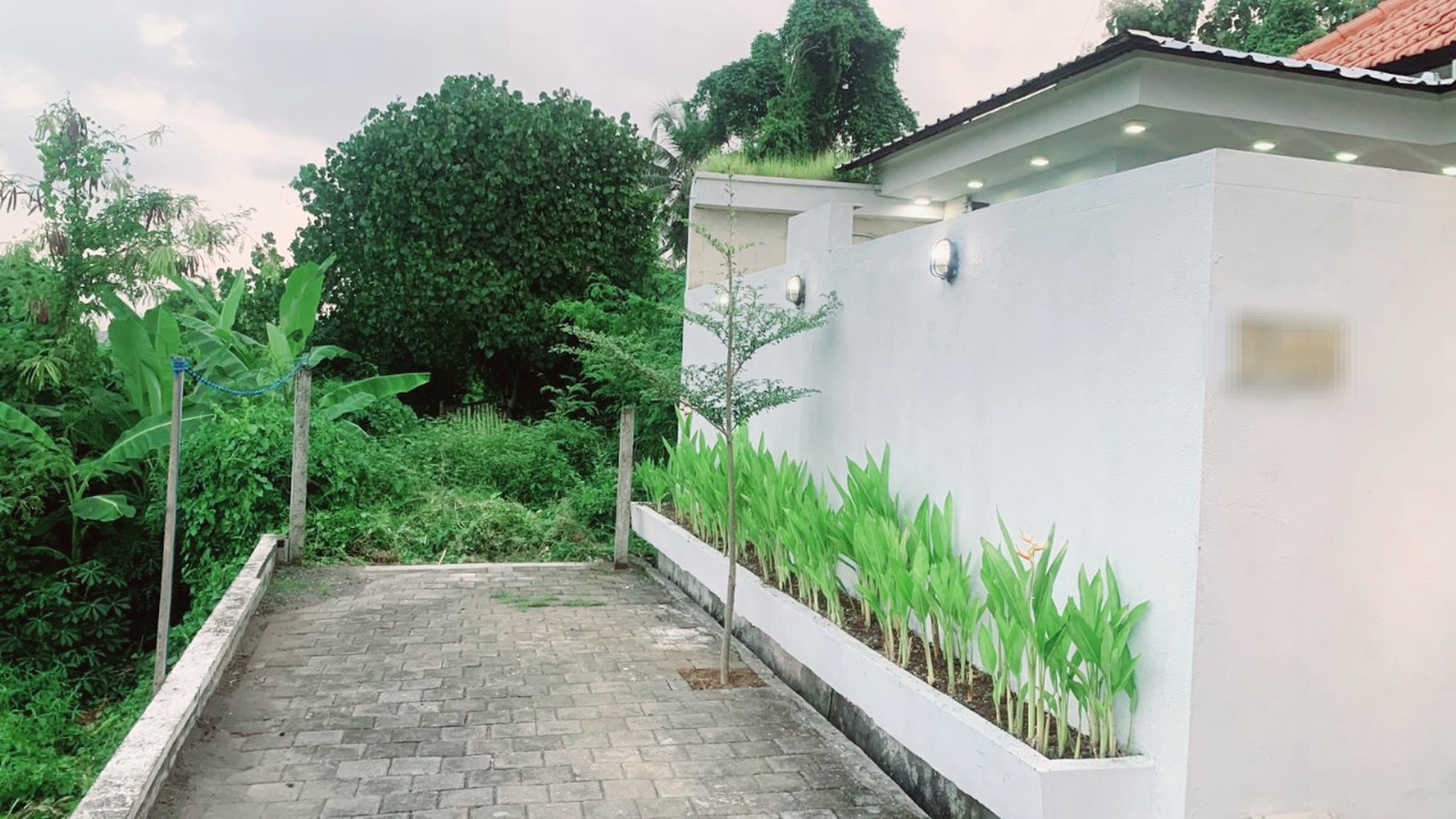 For Annual Rental - Modern villa with nice rice field view 