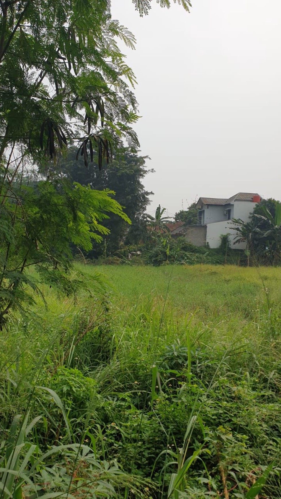 Tanah Komersial Pinggir Jalan Raya Cocok untuk Gudang atau Pabrik