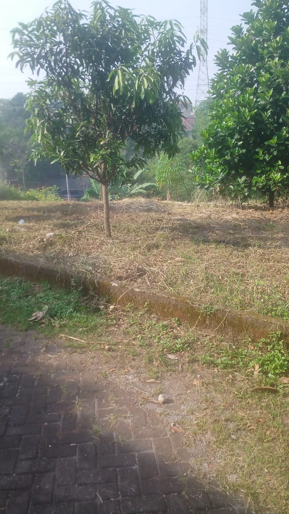 Dijual Tanah Cileunyi View Masjid Aljabbar Diatas Bukit Rp. 2,6jt / mtr2