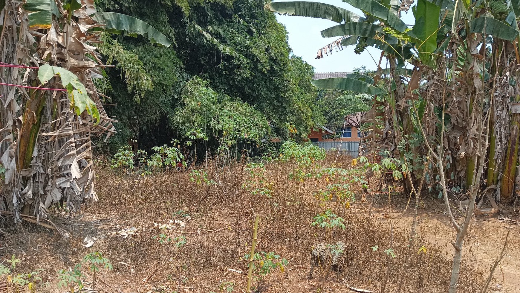 TANAH SIAP BANGUN DI GANDOANG CILEUNGSI BOGOR