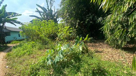 TANAH SIAP BANGUN DI GANDOANG CILEUNGSI BOGOR