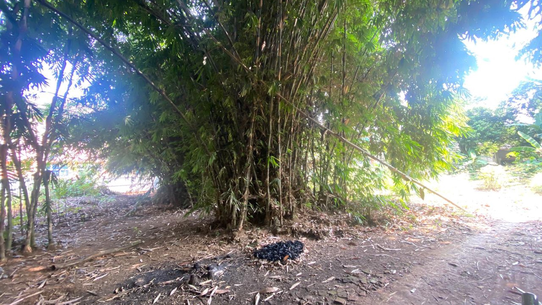 TANAH SIAP BANGUN DI GANDOANG CILEUNGSI BOGOR