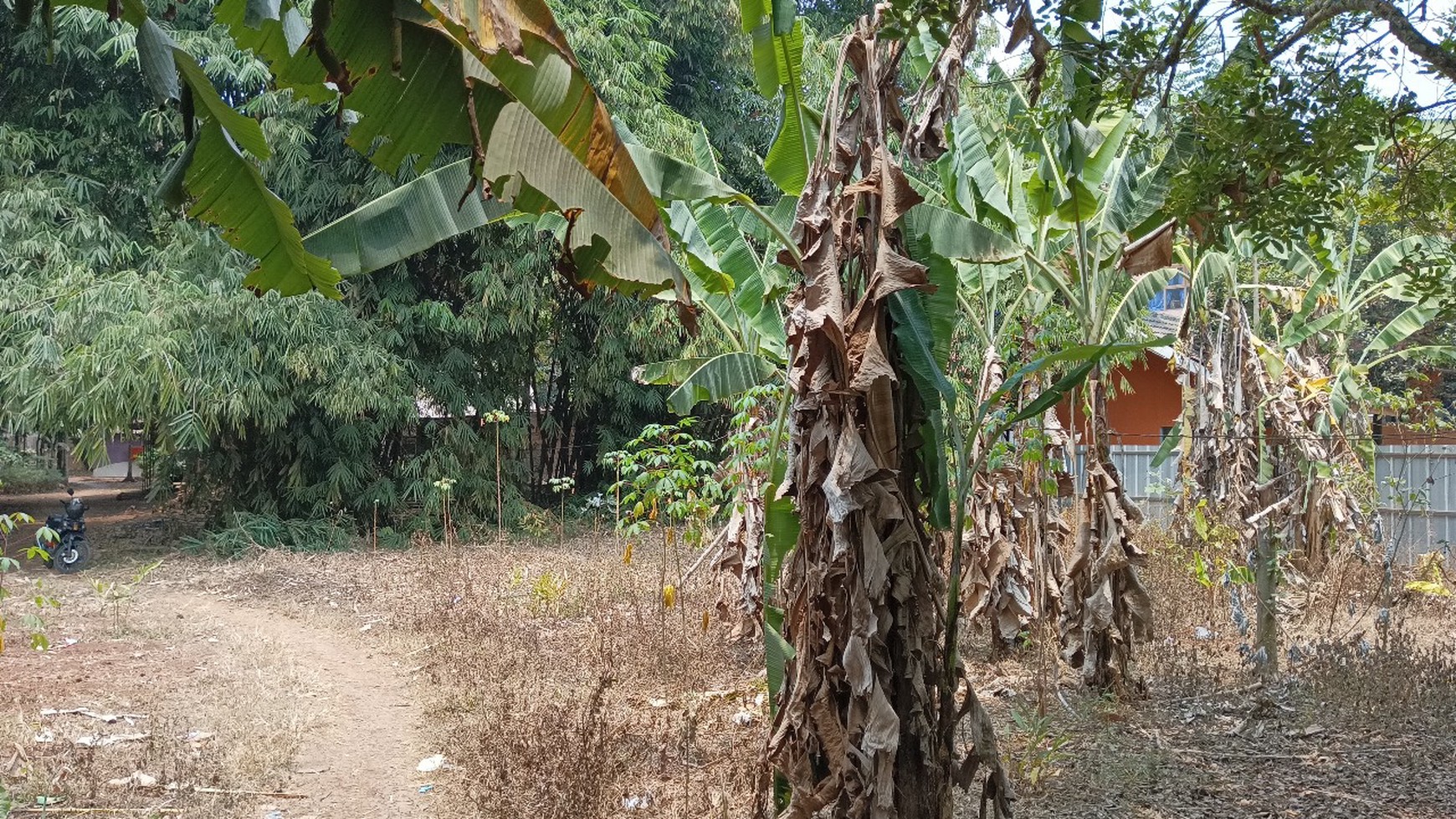 TANAH SIAP BANGUN DI GANDOANG CILEUNGSI BOGOR