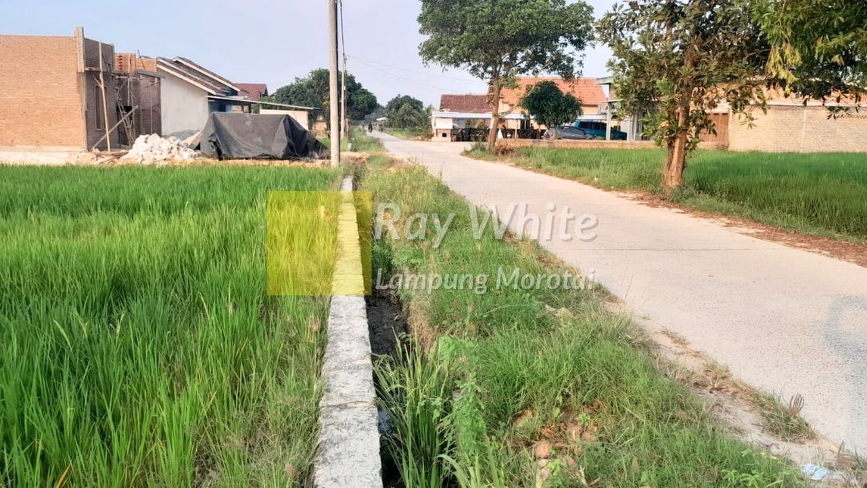 Dijual Tanah murah lokasi jatimulyo