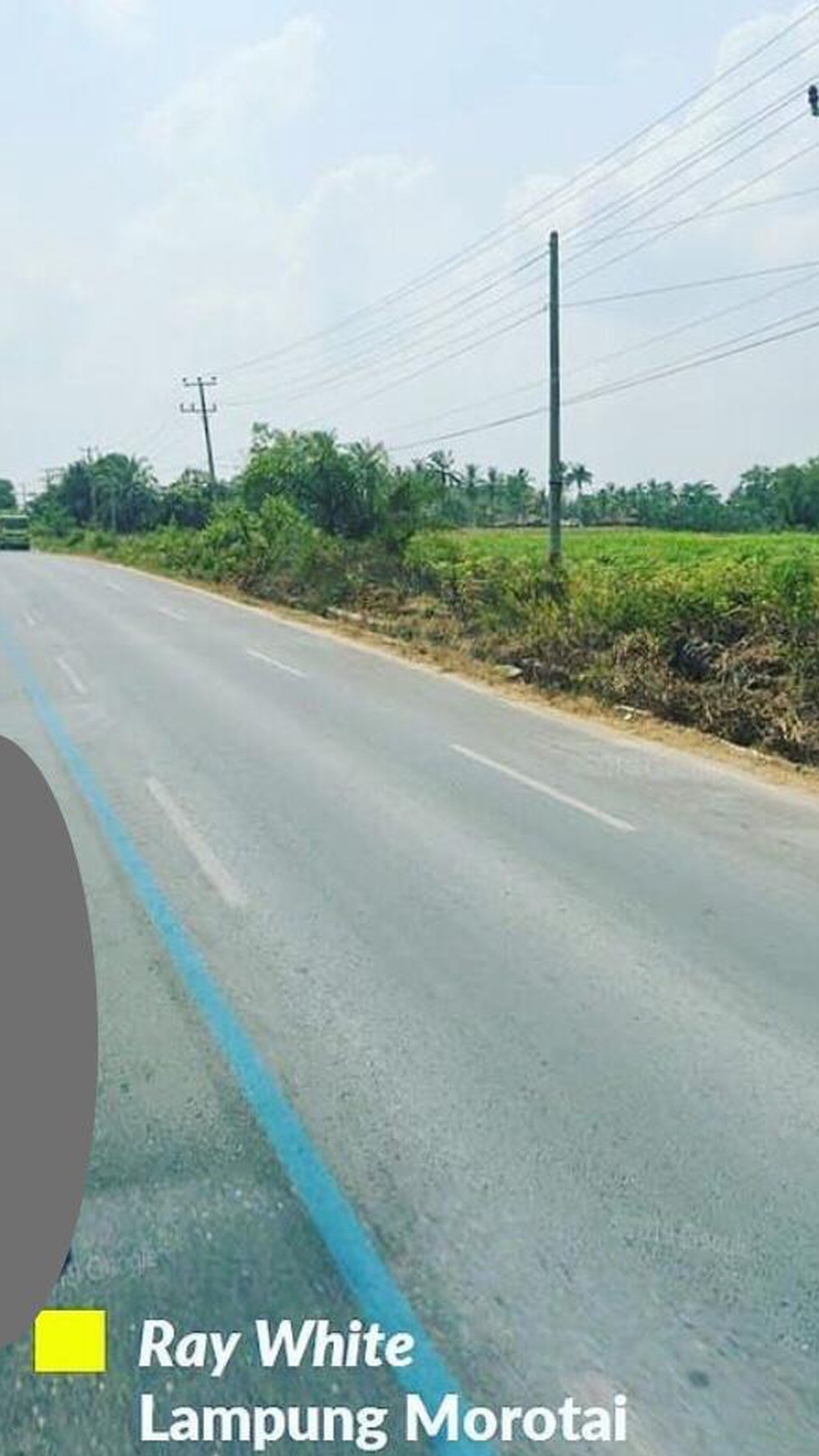 Tanah murah di Jalan Lintas Sumatera Gunung Sugih Lampung Tengah