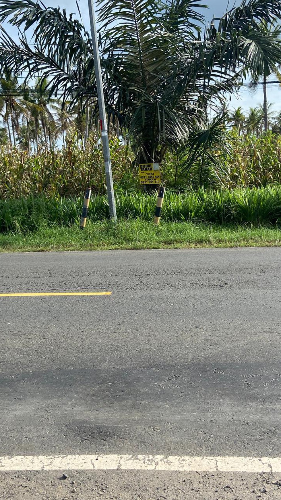 DIJUAL TANAH DILOKASI STRATEGIS TEPI JALAN LINTAS SUMATRA KALIANDA KOTA