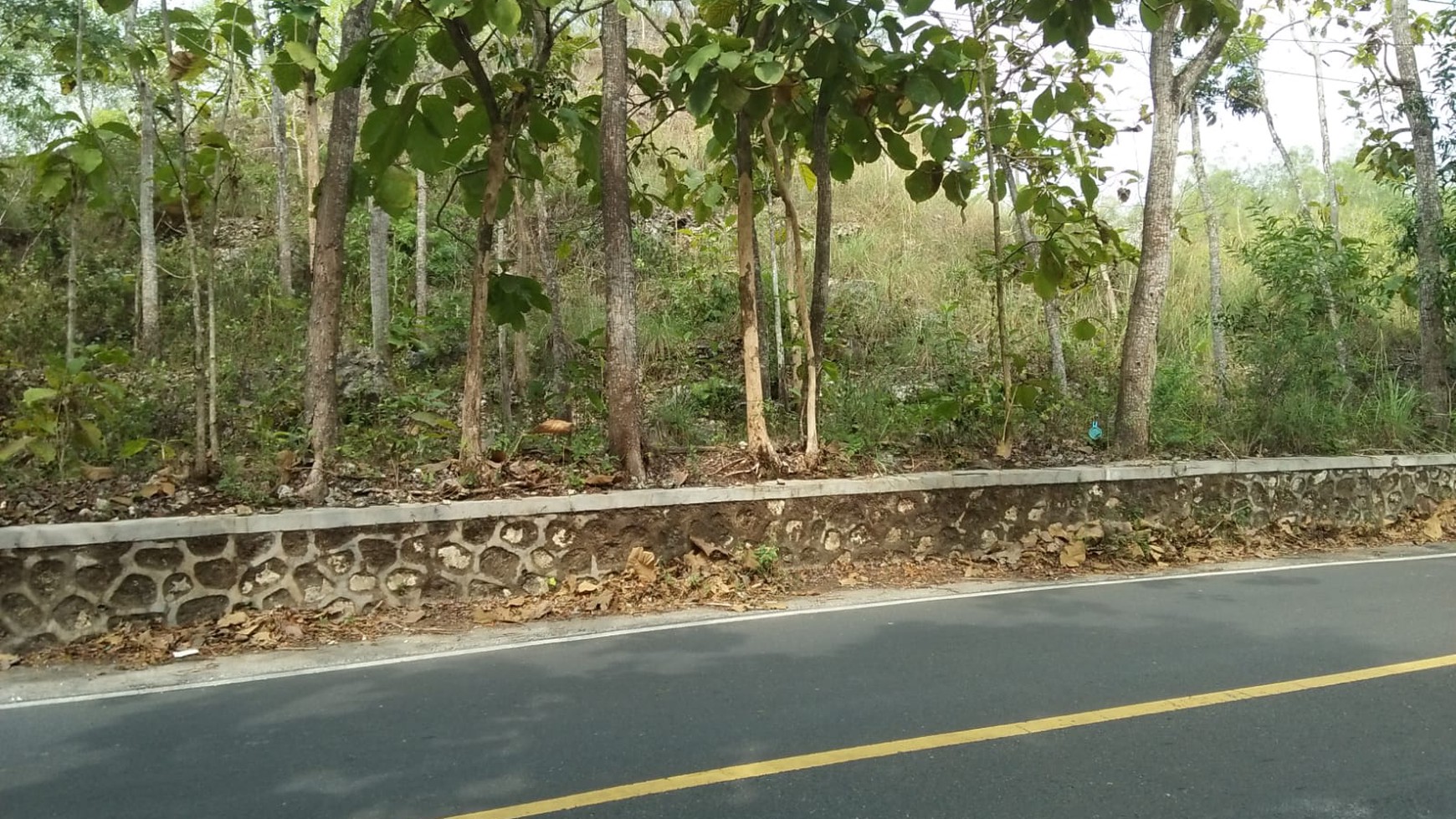 Tanah Luas 17.481 Meter Persegi Lokasi Di Karanggede GiriSubo, Gunungkidul