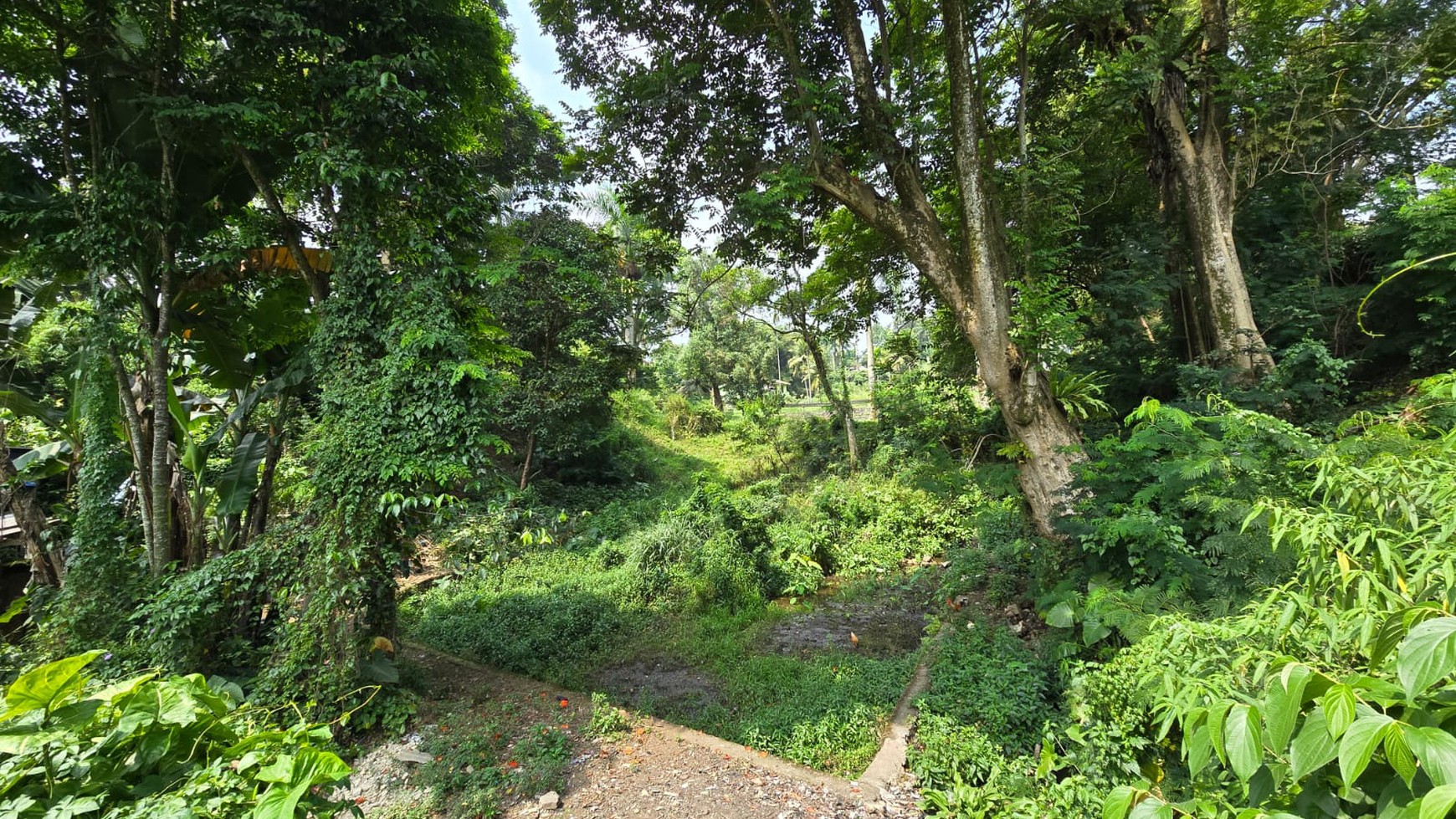 Kavling Di Lokasi Strategis Di Cibulan Cisarua Bogor