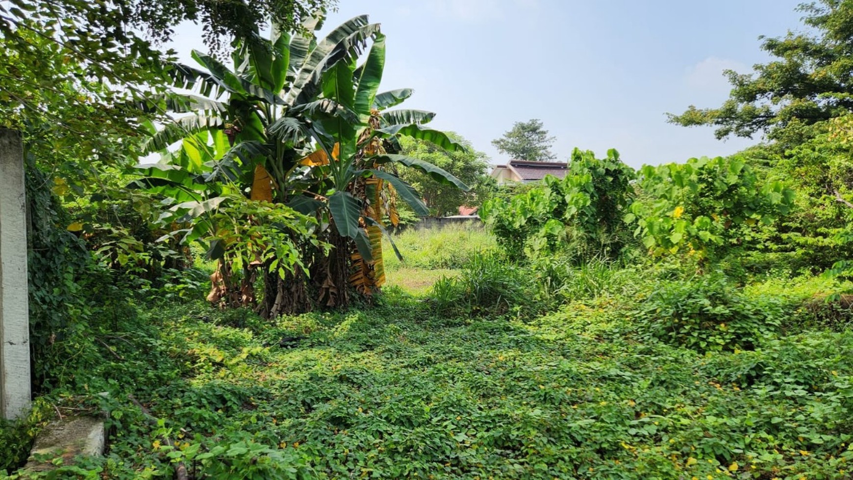 Tanah Kosong Lokasi sangat Strategis Untuk Usaha di Jati Mulya, Tambun Selatan - Bekasi