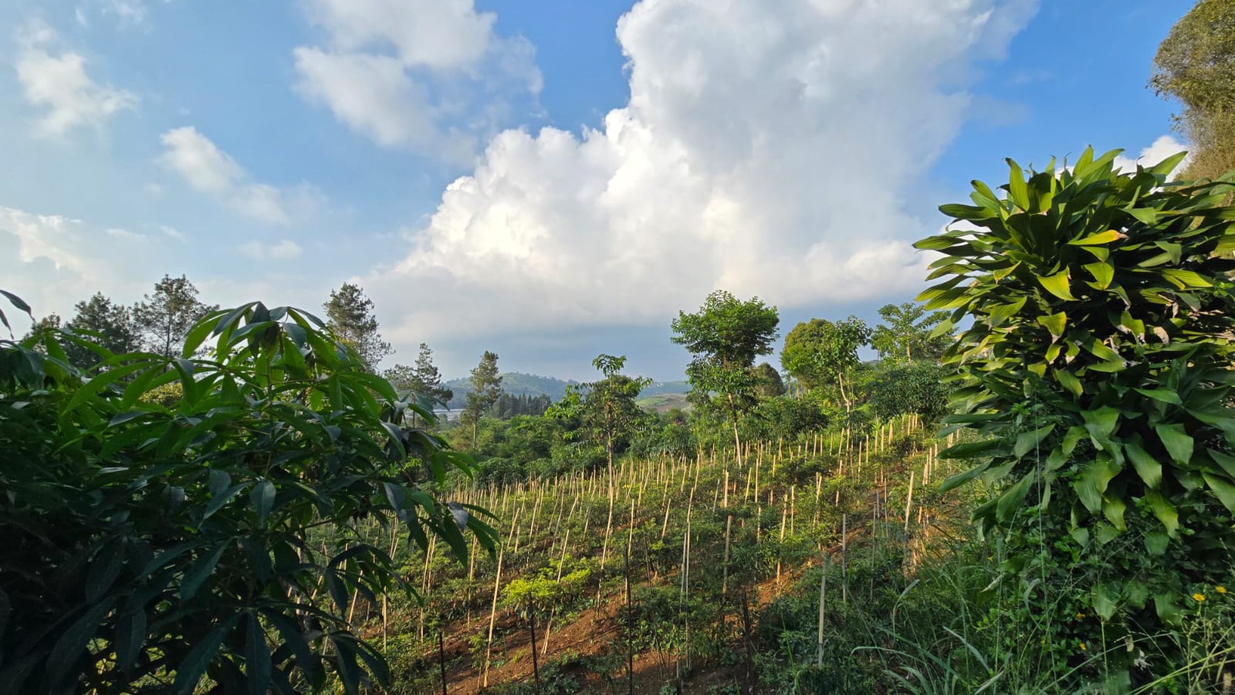 Kavling Di Lokasi Strategis Jl Marwati, Balekembang, Cikanere, Sukaresmi