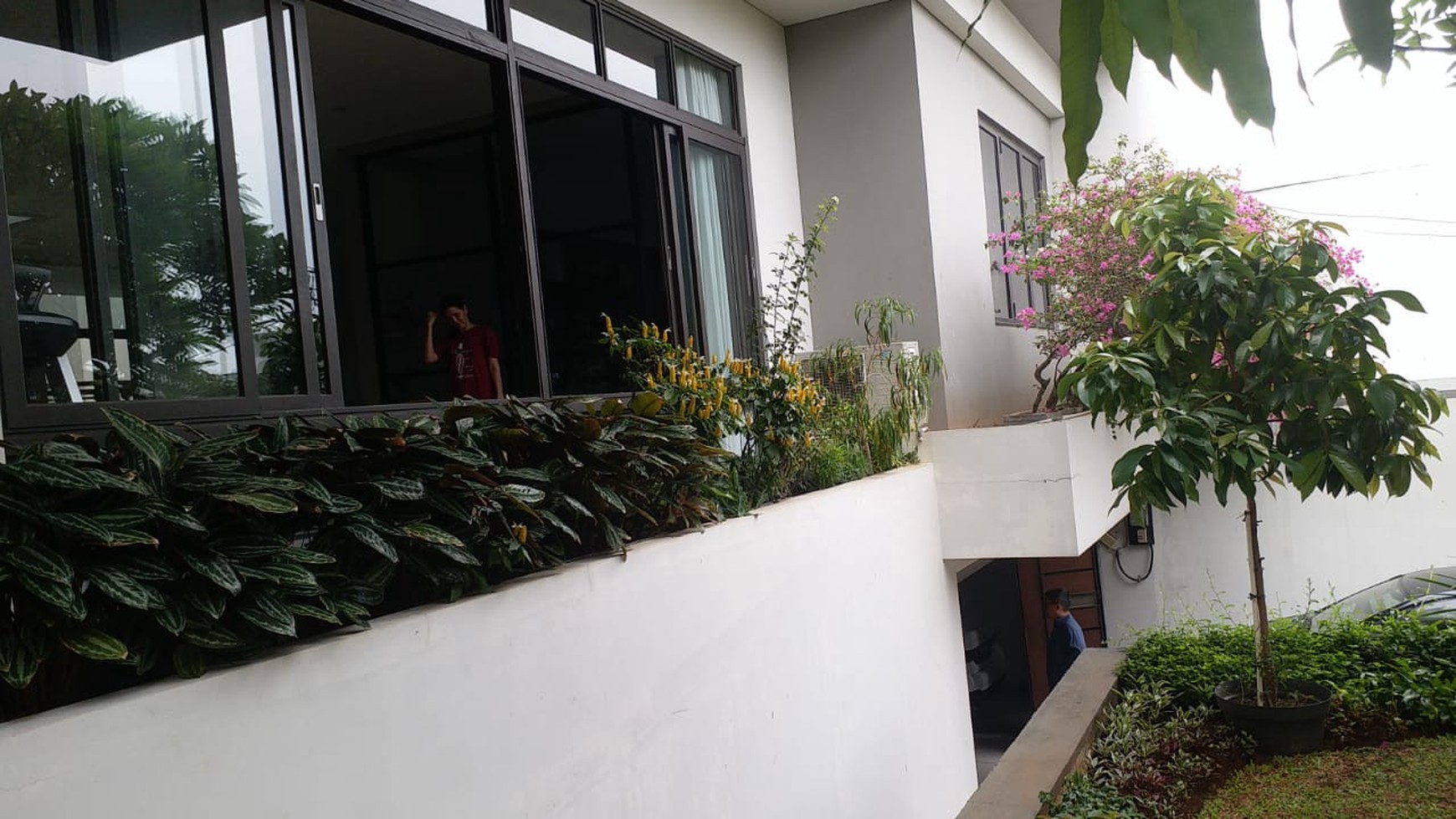 Rumah Bagus Di Jl Surya Sarana Kebon Jeruk Jakarta Barat