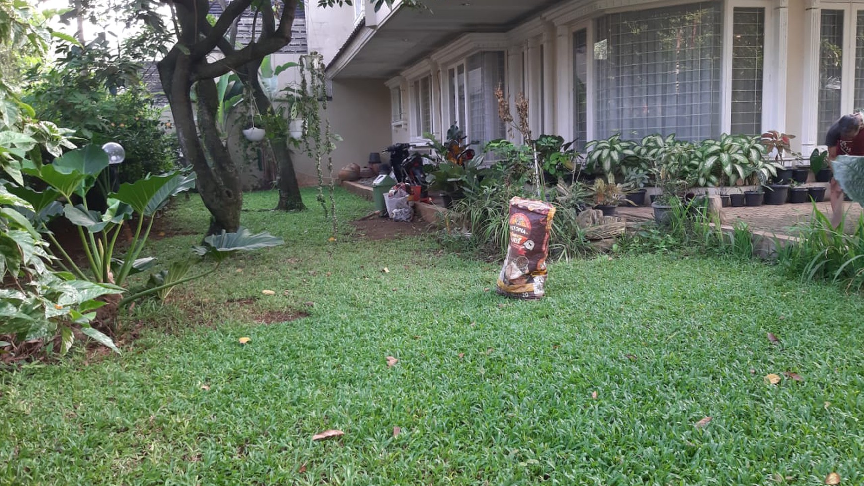 Rumah Bagus Di Jl Cempaka Pesanggrahan Jakarta Selatan