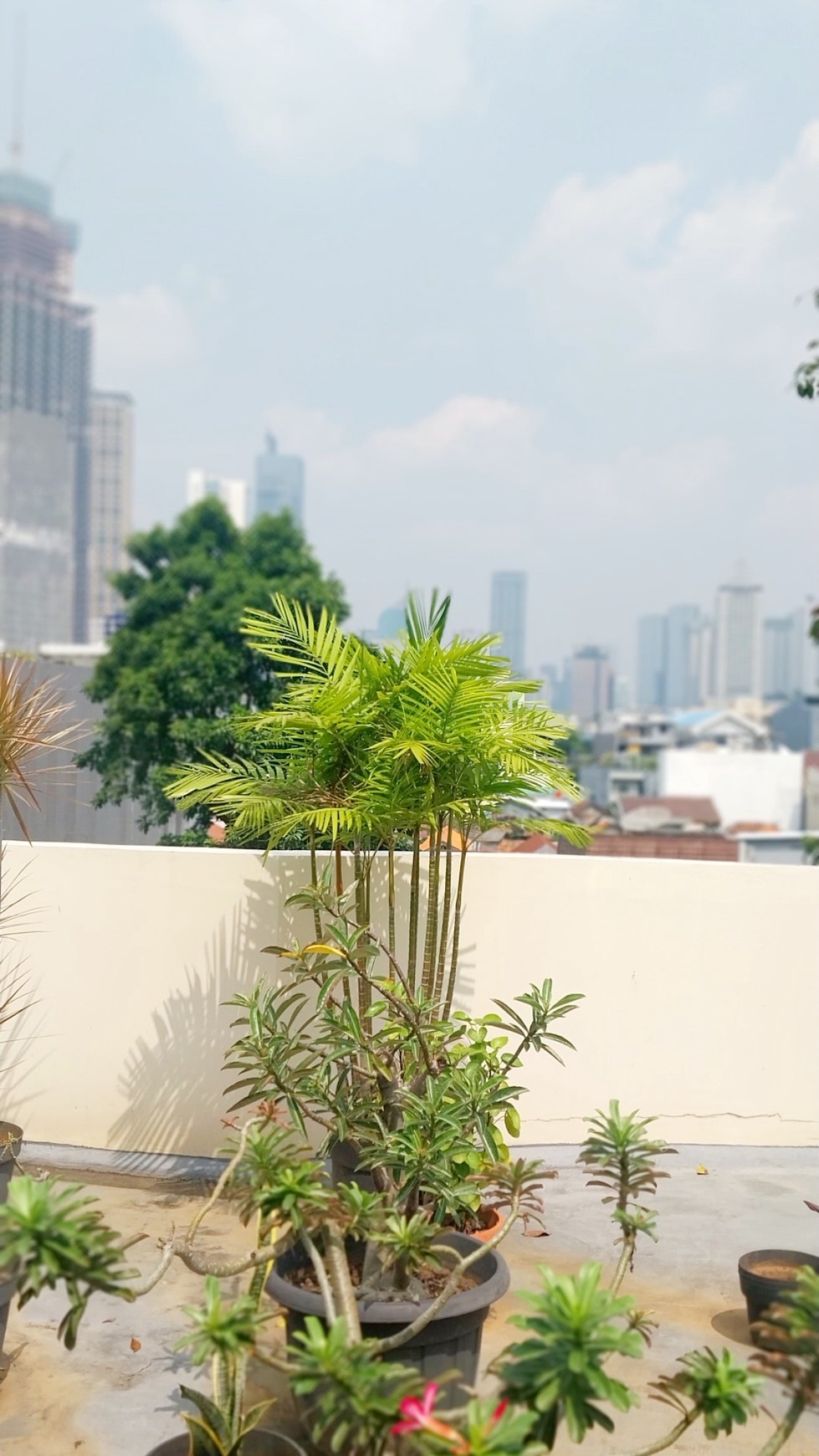 Rumah Kantor di Kebon Sirih dengan lokasi strategis, dekat gedung perkantoran di Thamrin