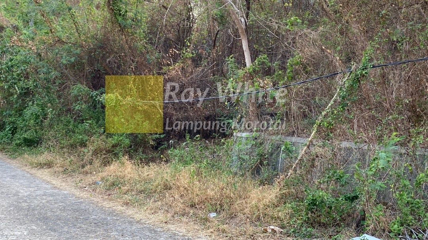 Tanah Murah View Kota Tanjung Karang Barat Bandar Lampung