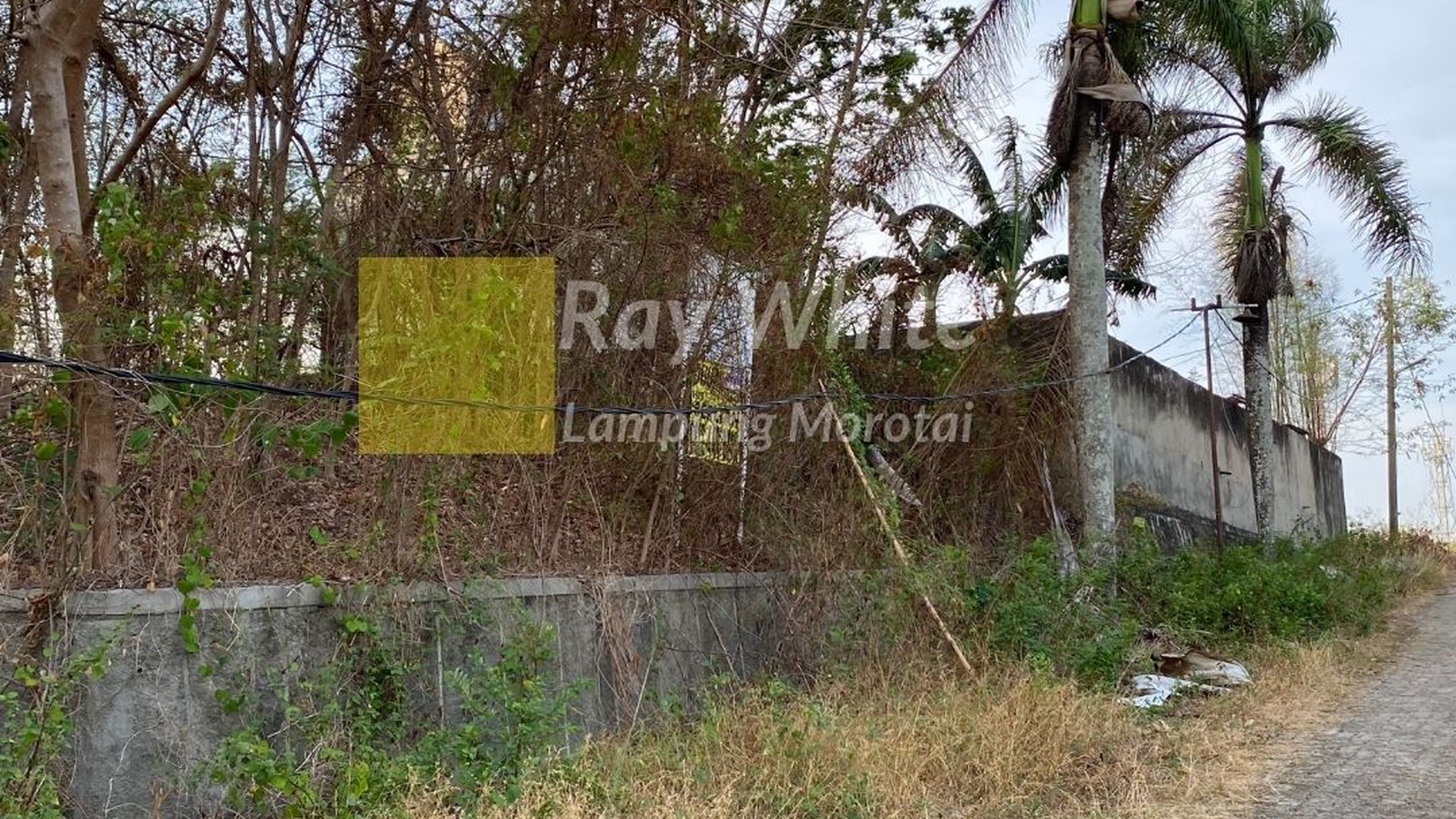 Tanah Murah View Kota Tanjung Karang Barat Bandar Lampung