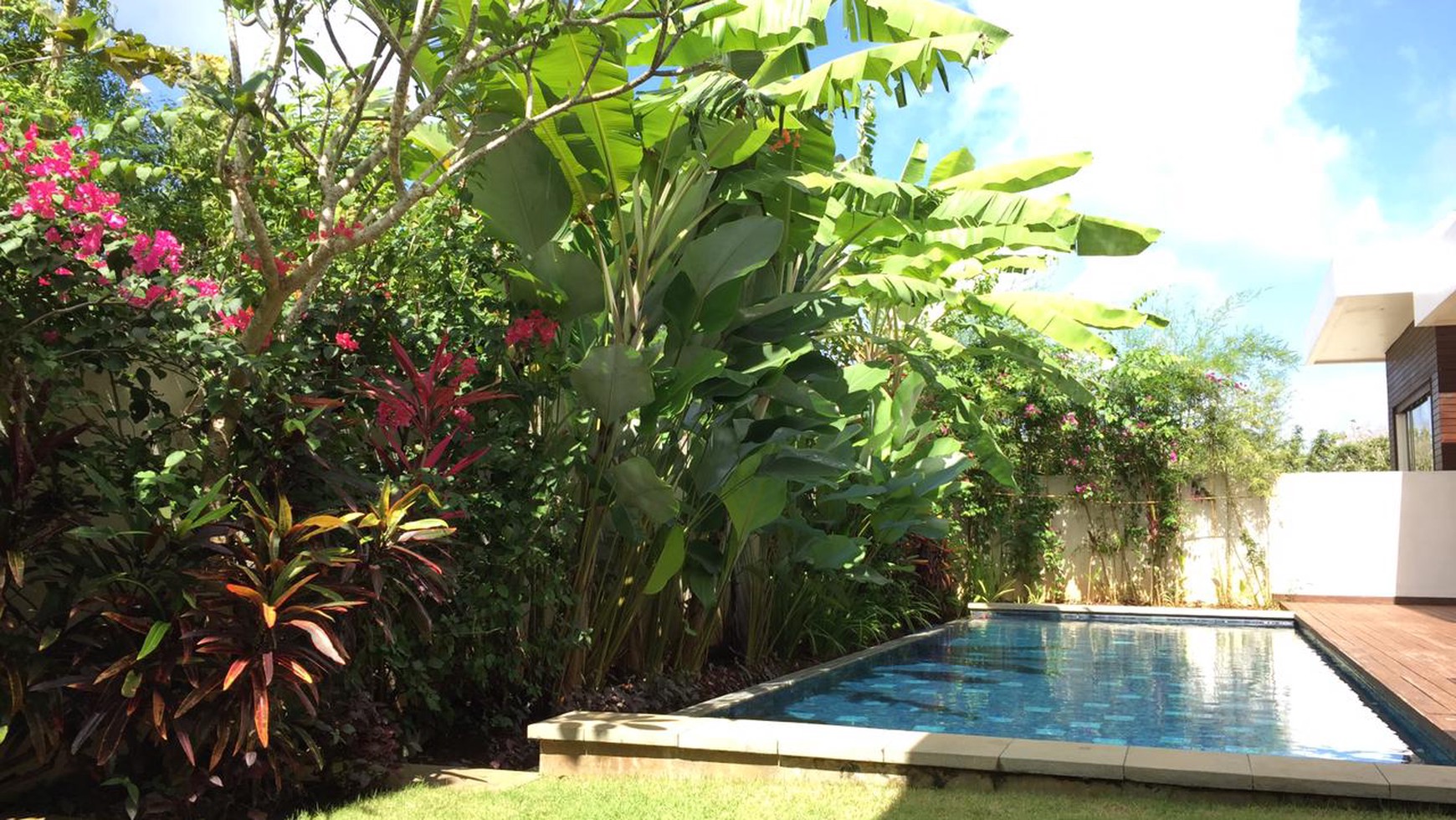 Villa Freehold in Great Location Pecatu