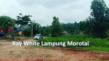 Tanah murah di Jalan Ir.Sutami desa Lematang Lamsel