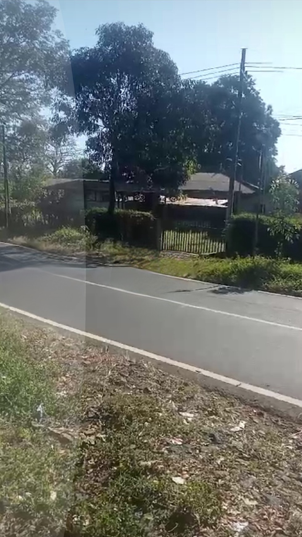 Dijual 24 Ha Tanah Kebun di Pasuruan - Jalan Raya Nongkojajar - Purwodadi - Nol Jalan Raya - SHM - cocok buat Segala.Usaha 