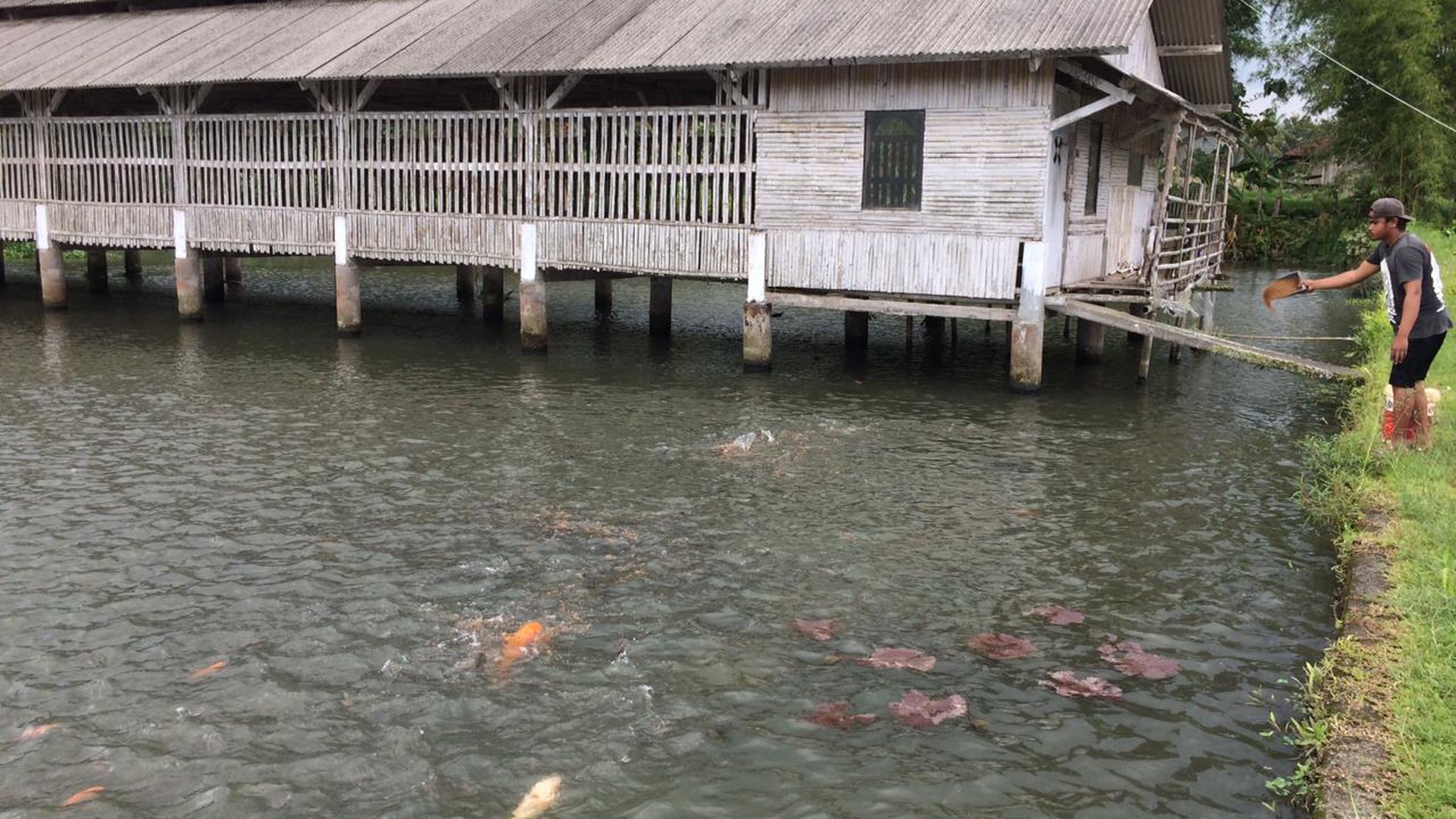 Lahan Usaha Strategis cocon untuk Usaha di Tasik