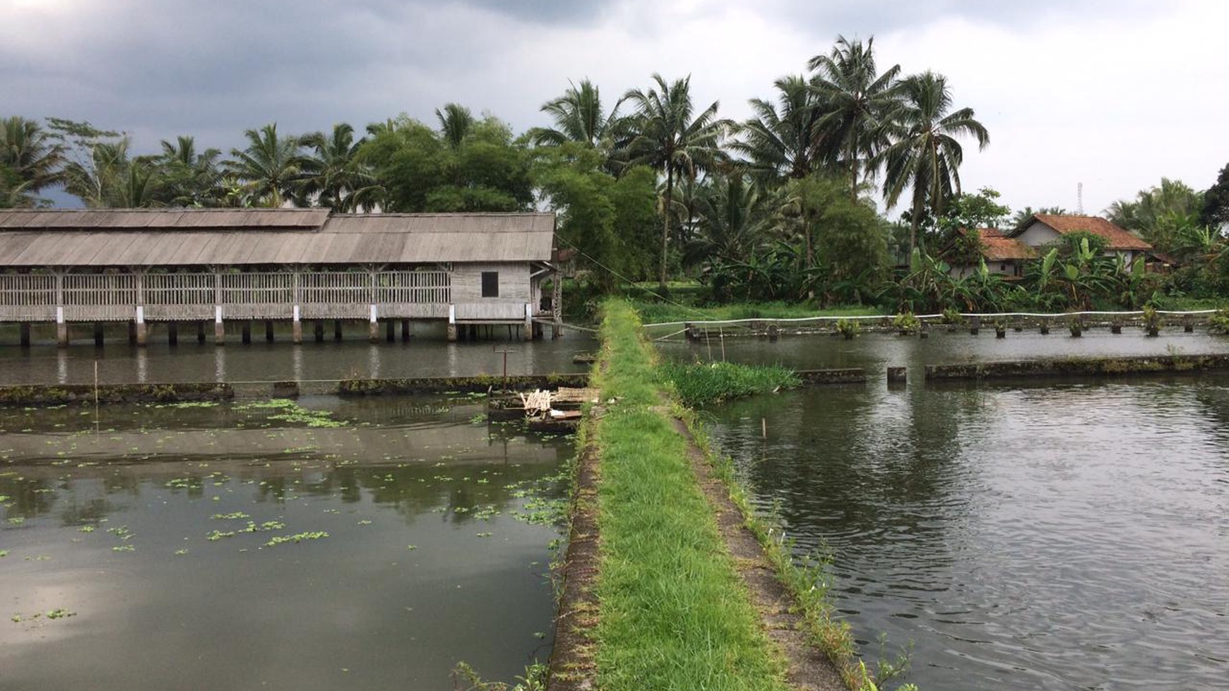 Lahan Usaha Strategis cocon untuk Usaha di Tasik