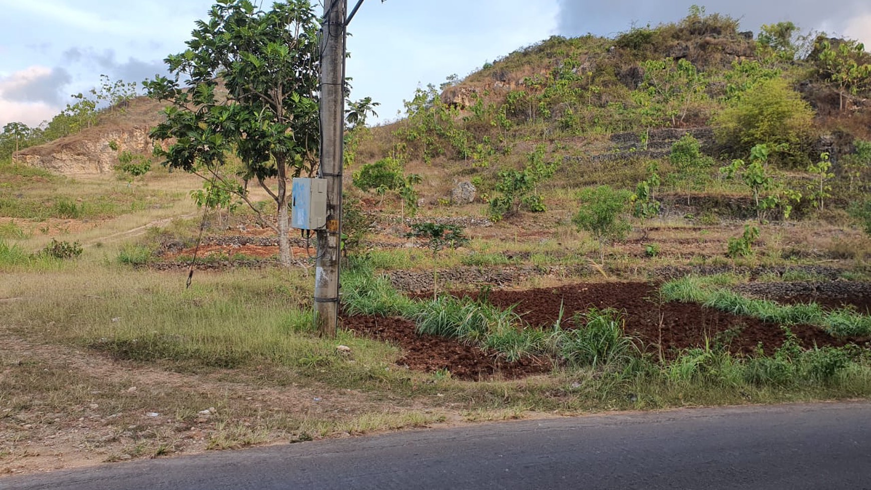 Tanah Luas 15.030 Meter Persegi Dekat Kawasan Wisata Pantai Baron Gunung Kidul 