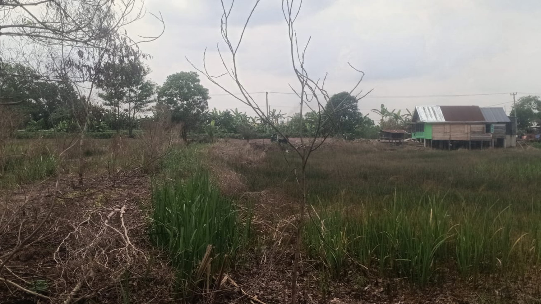 Tanah dijual cepat di jl Palembang Betung KM-20 Indralaya