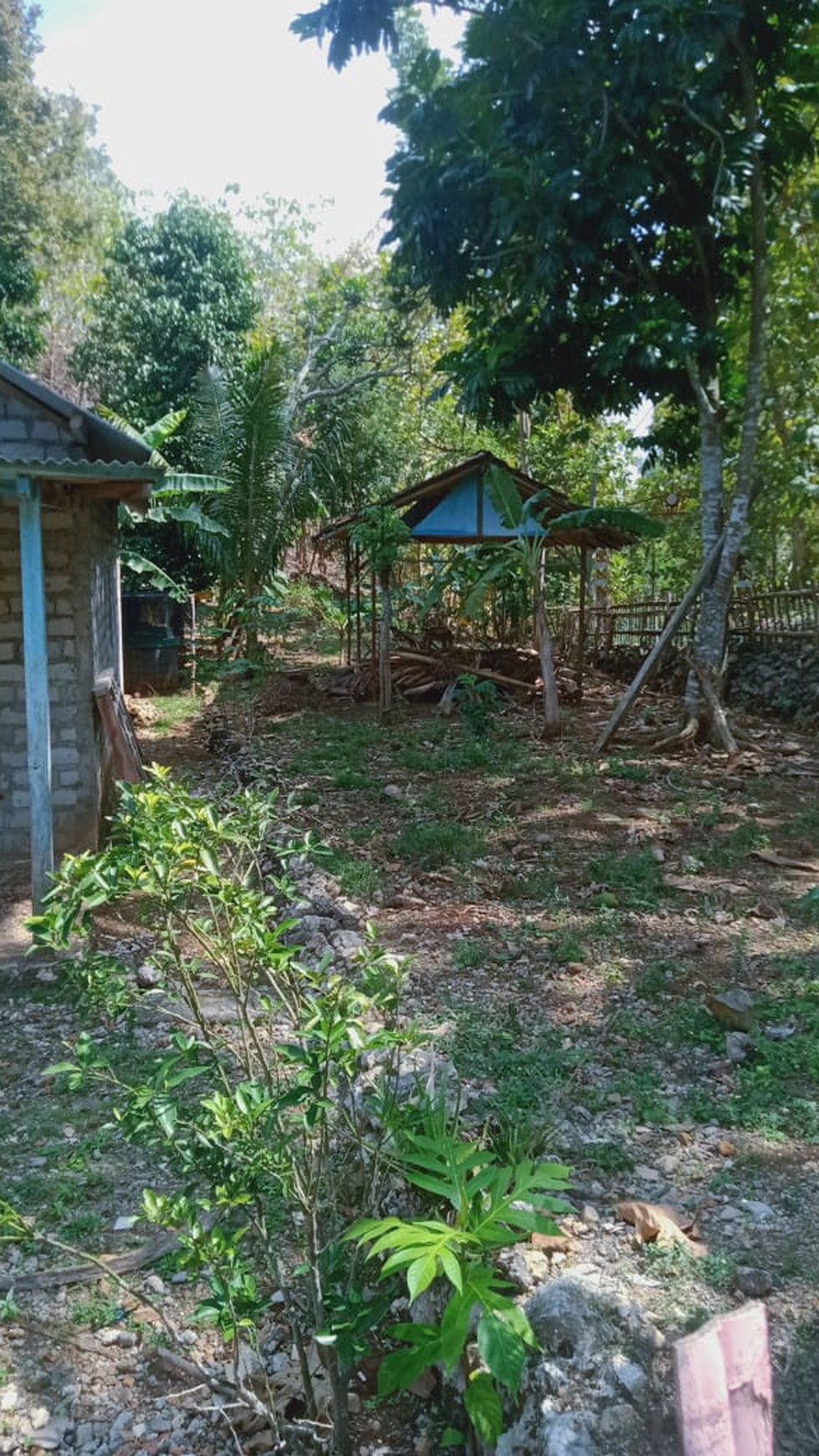 Dijual Rumah Hitung Tanah di Daerah Gunung Kidul