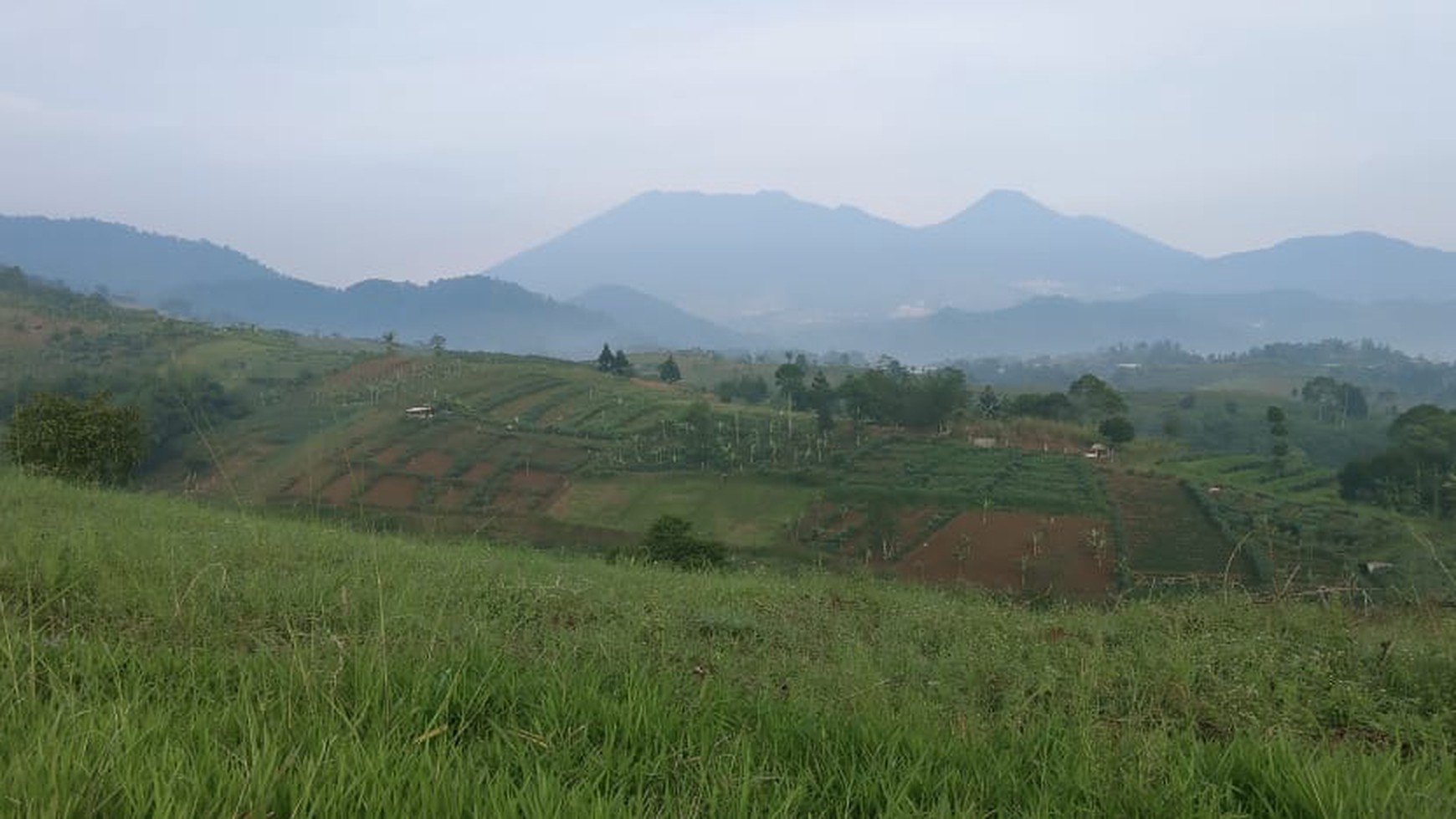 Tanah / Lahan 3.8 H  di Puncak, kabupaten Cianjur