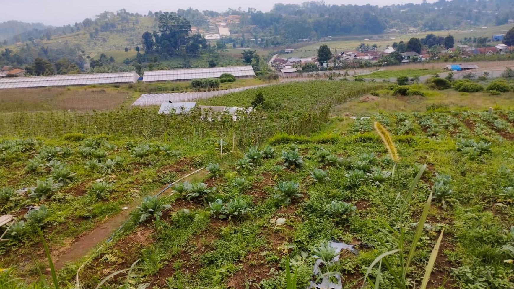 Tanah Siap Bangun di Cipada Bandung Barat