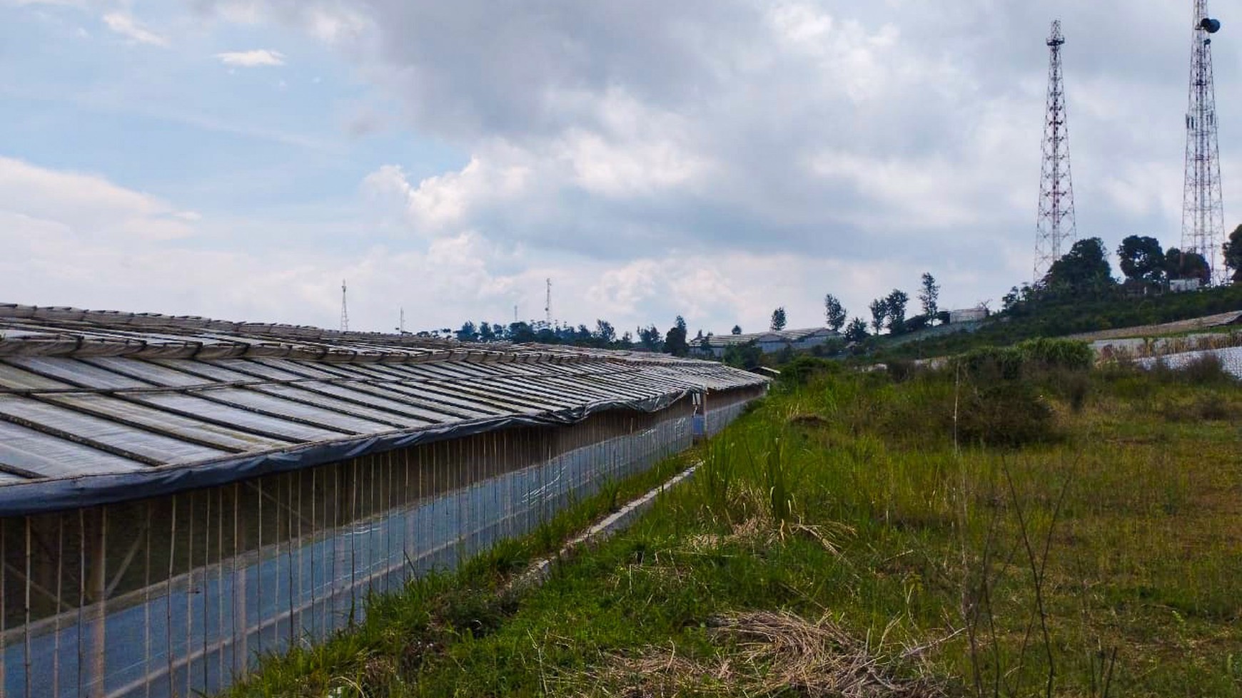 Tanah Lux Lokasi Strategis di Cipada Cihalong Wetan Bandung