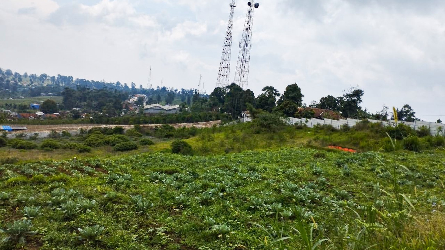 Tanah Lux Lokasi Strategis di Cipada Cihalong Wetan Bandung