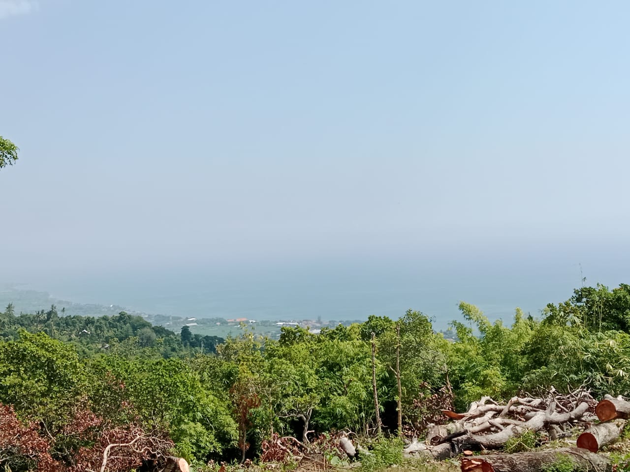 Ocean View Land for sale in Lovina