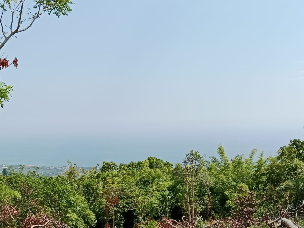 Ocean View Land for sale in Lovina