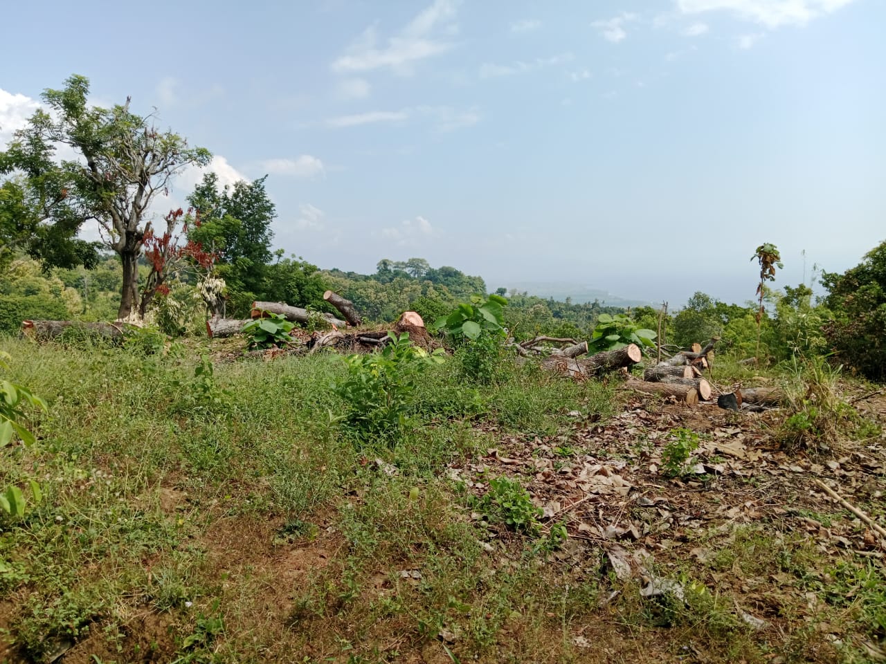 Ocean View Land for sale in Lovina