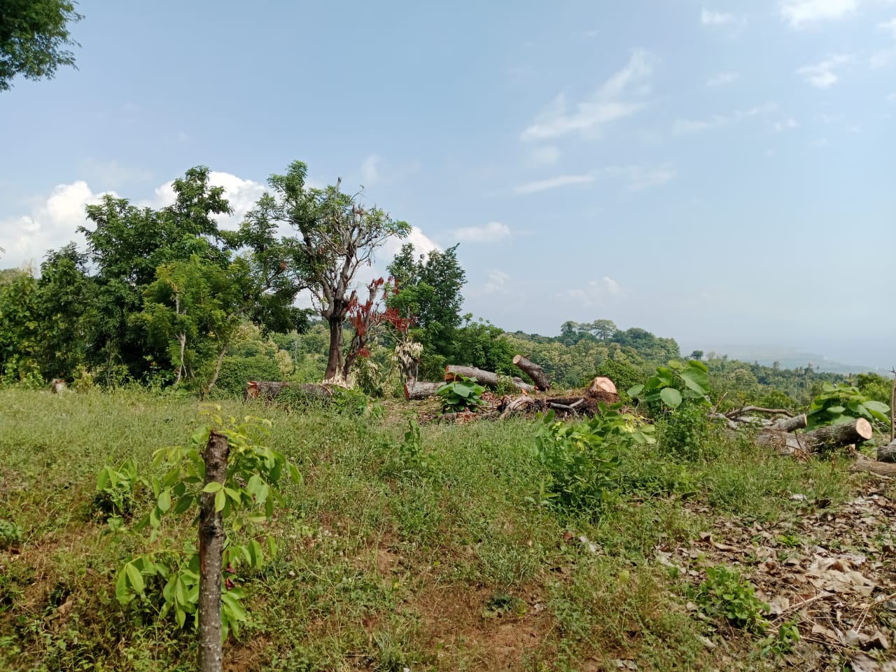 Ocean View Land for sale in Lovina