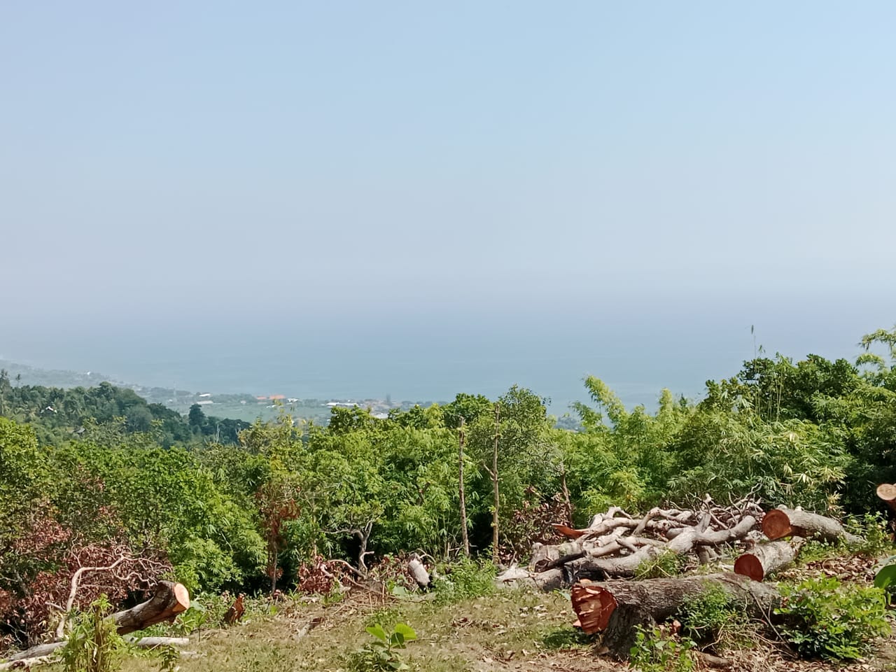 Ocean View Land for sale in Lovina