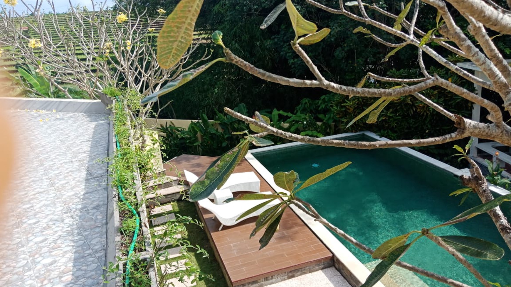 Freehold Villa   Near To Pererenan Beach With Spectacular Views, Canggu