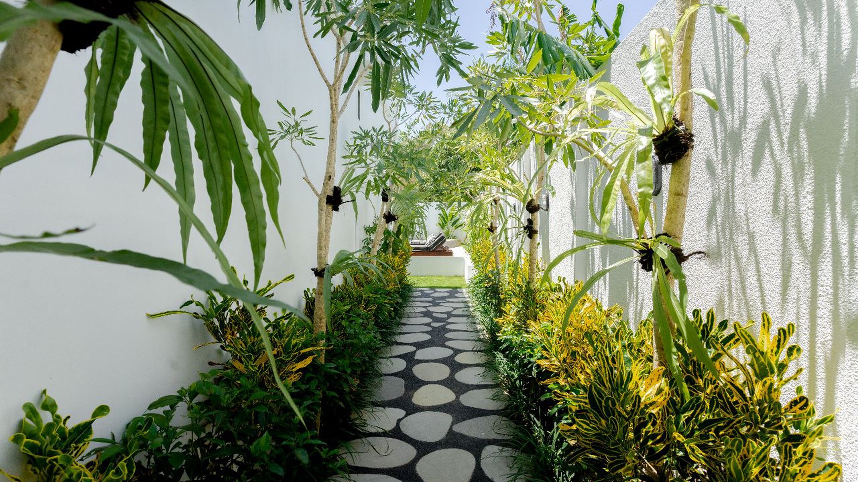 Brand New Freehold Villa In Great Location Canggu Bali