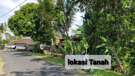 For Sale Freehold - Land with view ricefield in Tabanan