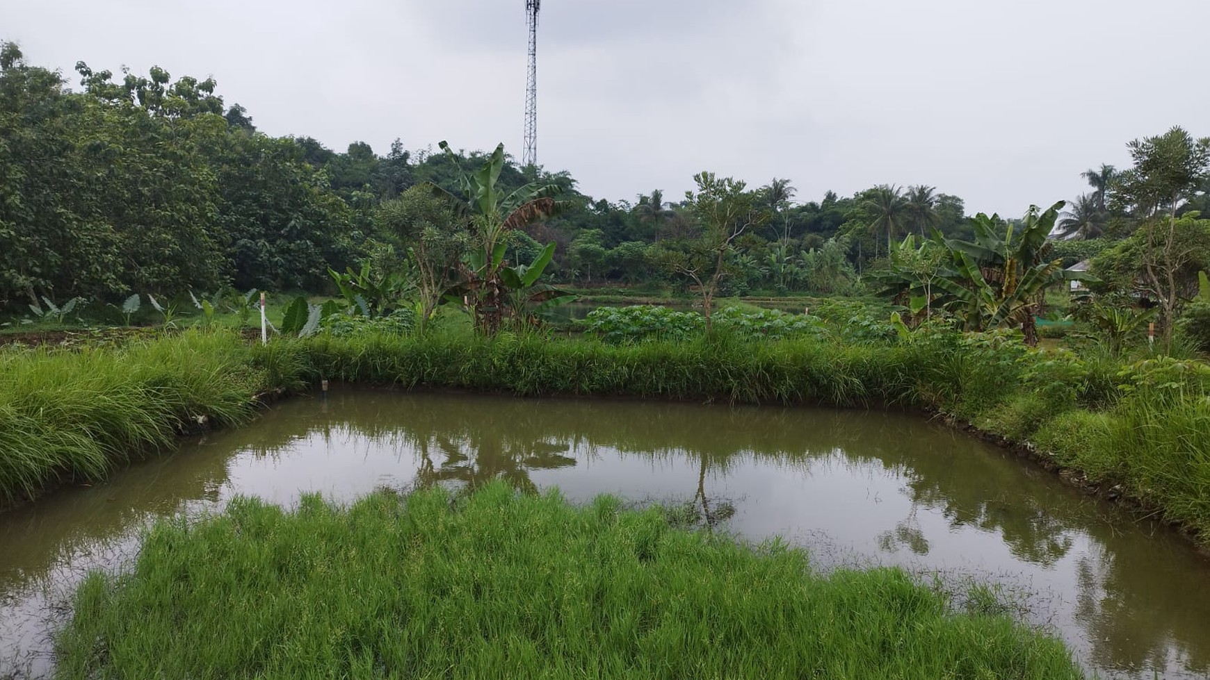 Kavling siap bangun di parung bogor