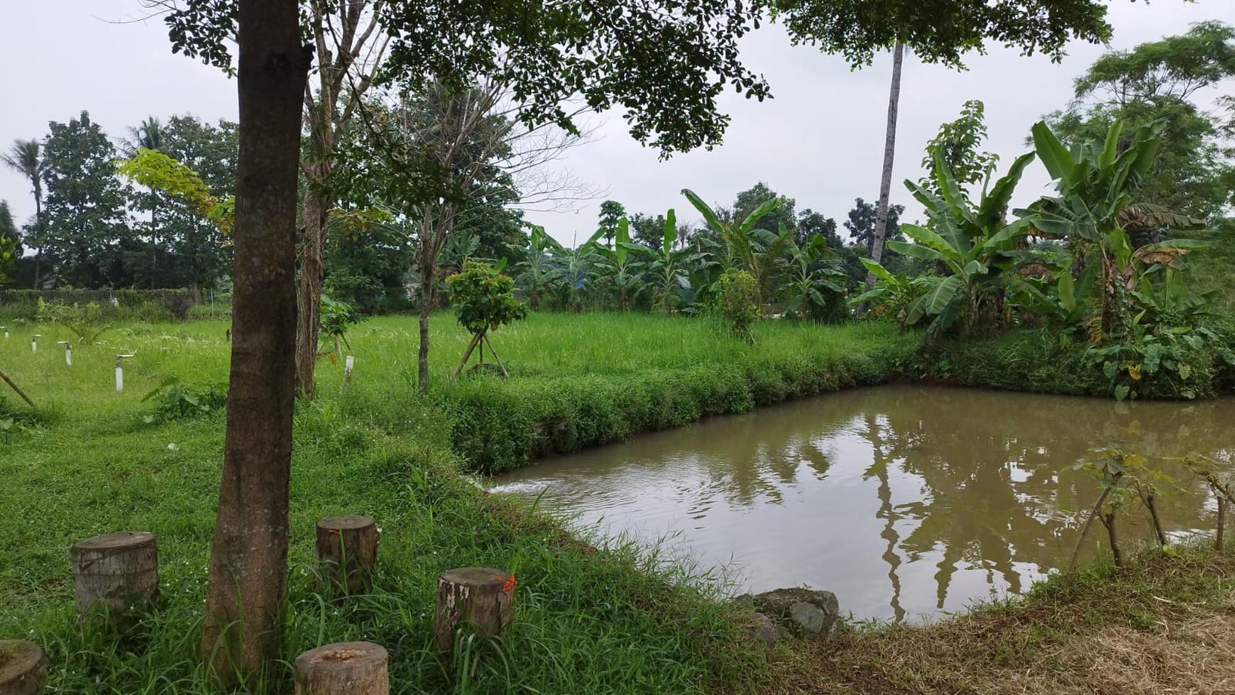 Kavling siap bangun di parung bogor